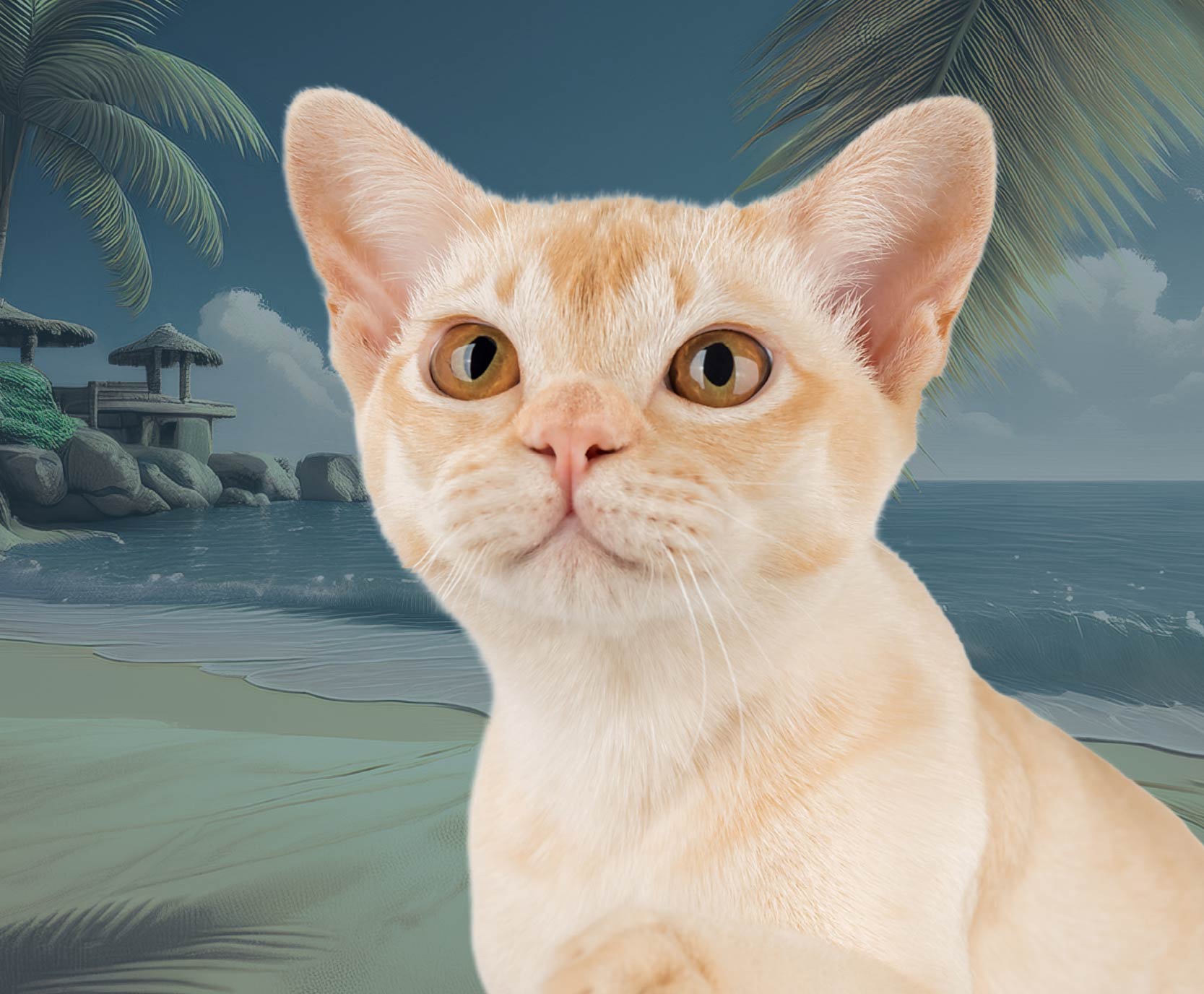 KOCI WEEKEND W EC1 Łódź KOCI WEEKEND W EC1 Łódź